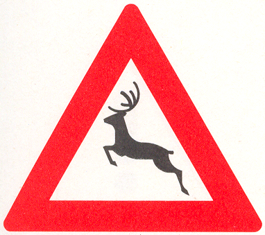 Let op: Groot wild
