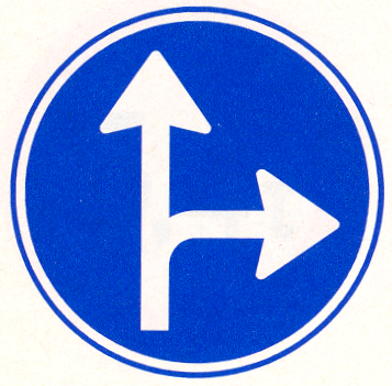 Gebod tot het volgen van één van de rijrichtingen die op het bord zijn aangegeven
